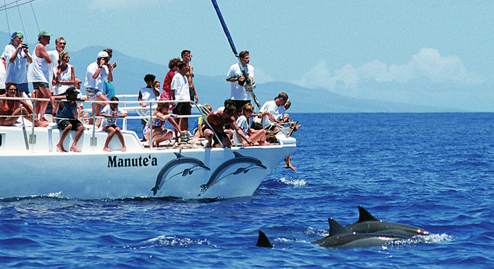 Passengers observe spinner dolphins on the foundation's Wild Dolphin &amp; Snorkel Eco-adventure boat, off Hawaii near Maui. (AP)