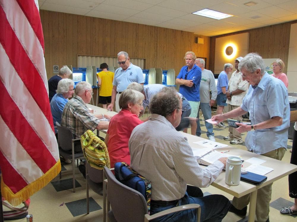 Residents in Glendale, Wisconsin line up in July to vote in a Democratic primary election ahead of a recall election this month's recall election. (AP)