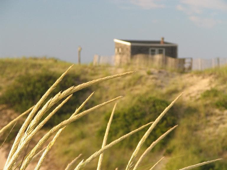 The dunes outside Provincetown (ptowndave/Flickr)