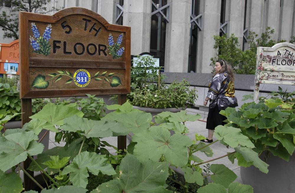 Houston city employee Belen Garza walks by pots filled with herbs and vegetables outside the public works building in downtown Houston. The garden is a cooperative effort by city officials and a nonprofit group. (AP)