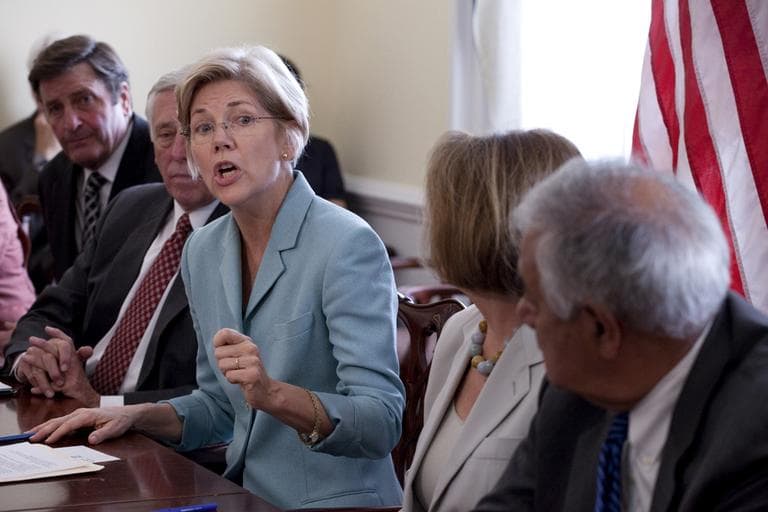 Elizabeth Warren, then a White House adviser, speaks to lawmakers on Capitol Hill in July. (AP)