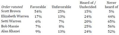 PDF: Click for the full WBUR/MassINC poll results.
