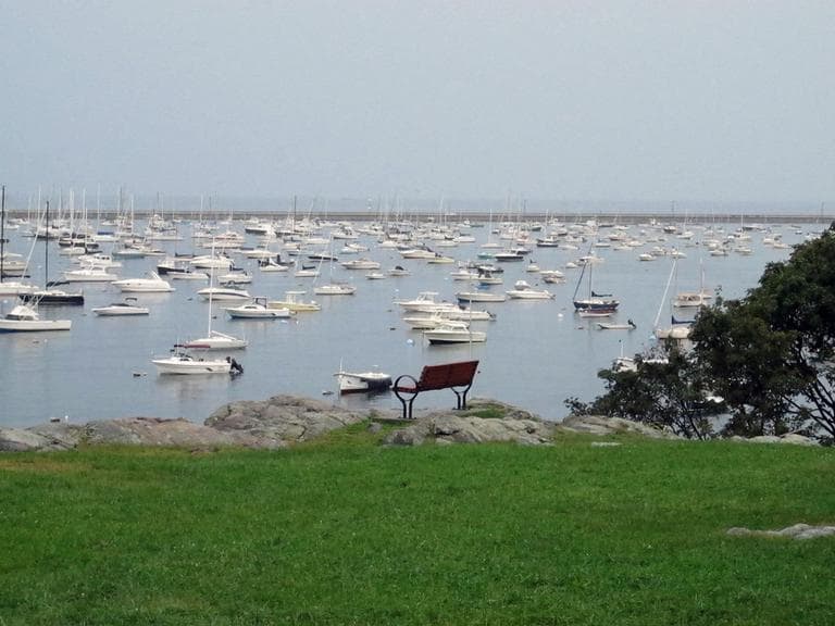One of the last places Kim Trudell saw her husband was at Crocker Park, overlooking Marblehead Harbor. (Dan Mauzy/WBUR)