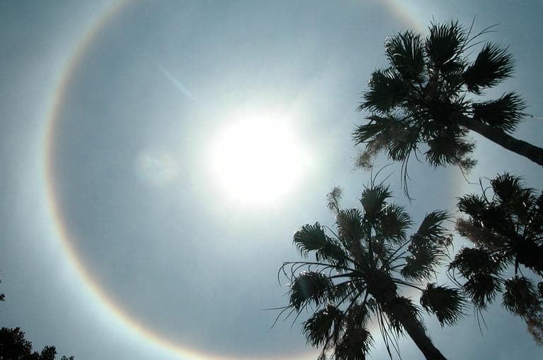 A corona-like halo wraps around the sun high over the Florida Keys April 29, 2008. (AP)