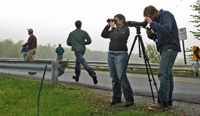 Members of Team Sapsucker search for birds during the New Jersey Audubon's annual World Series of Birding in Crystal Lake, N.J., Saturday, May 9, 2009. The competitive fundraising event asks birders to identify as many species as they can by sight or sound in a 24-hour period. (AP)