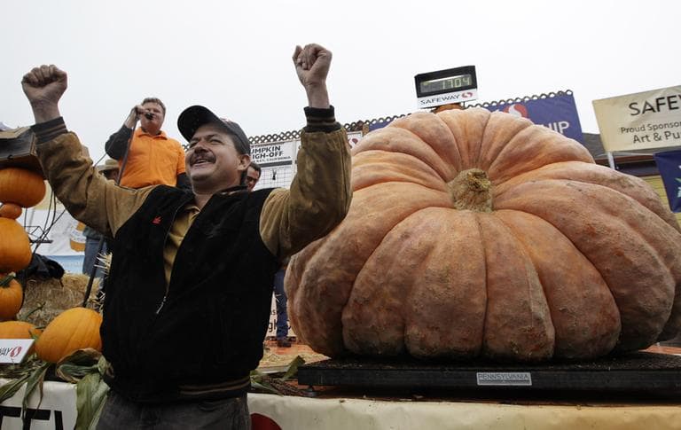Leonardo Urena celebrates after his pumpkin won this year&#039;s Half Moon Bay giant pumpkin contest in Half Moon Bay, Calif., Monday, Oct. 10, 2011. The pumpkin weighed 1,704 pounds, making it a new California record. The circumference was 195 inches. (AP)