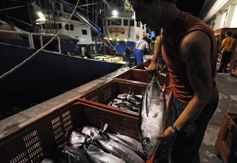 A Boston Globe report finds dozens of instances of fish mislabeling, and blames it on the lack of regulations on the fishing industry. (AP)