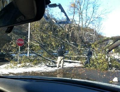 A downed tree on Route 9 in Wellesley (@RyanKellyBoston/Twitter)