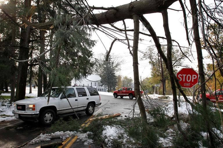 A vehicle drives under a fallen tree that hangs over a road in Wilbraham on Monday (AP)