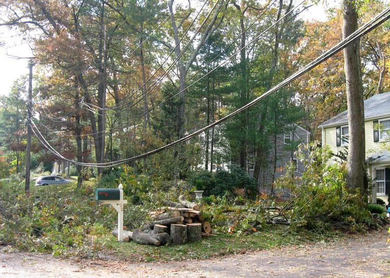A sagging power line in Concord in need of repair (Sacha Pfeiffer/WBUR)