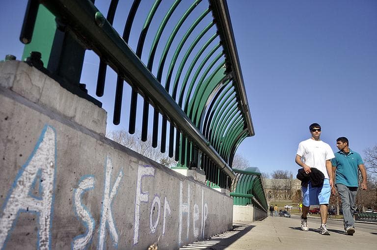 Cornell University students cross the college&#039;s Thurston Avenue Bridge in Ithaca, N.Y. in 2010, a year that saw three students there fall from campus bridges. (AP Photo/Heather Ainsworth)