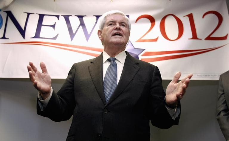 Republican presidential candidate Newt Gingrich speaks to supporters at the opening of the Newt2012 office in Manchester, N.H., Nov. 11. (AP)