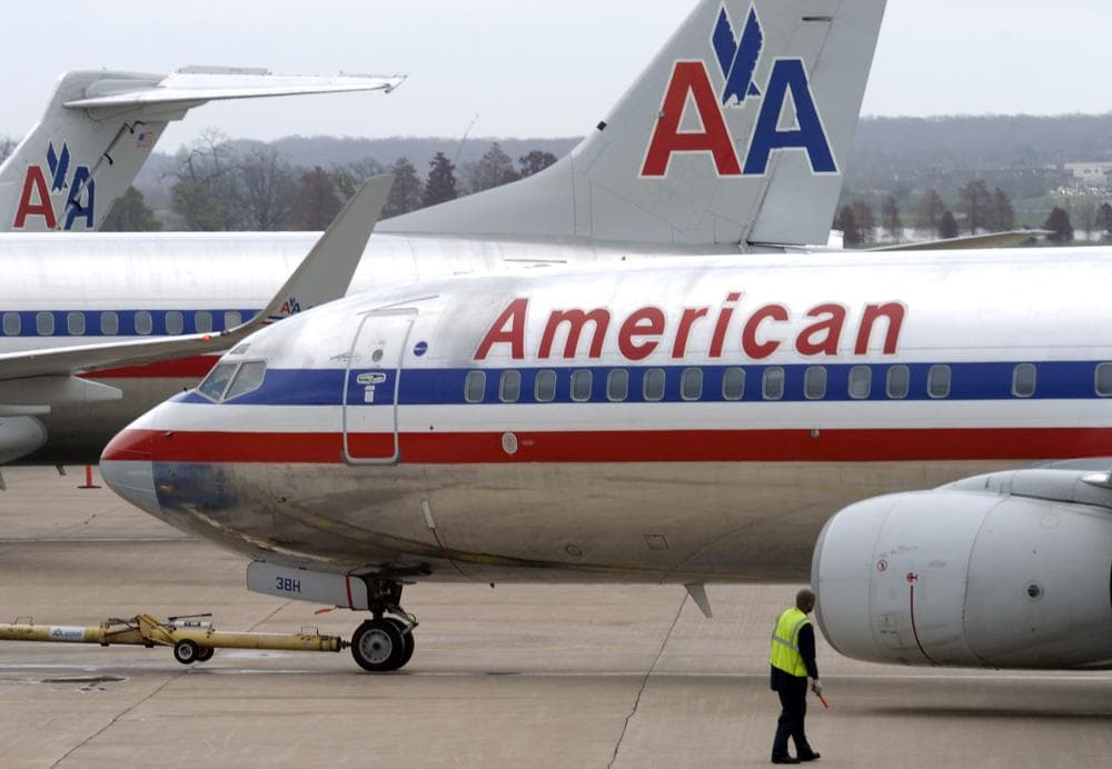 An American Airlines plane is moved from a gate at Washington's Ronald Reagan National Airport. (AP)