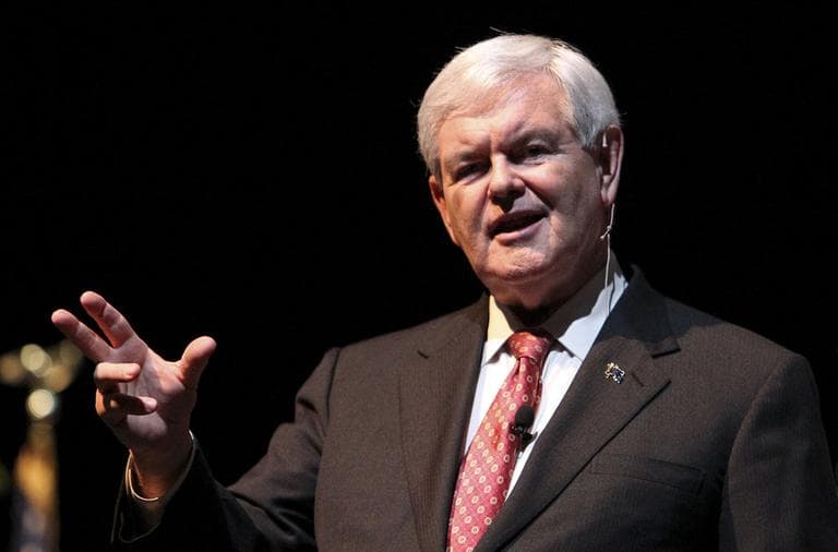 Republican presidential candidate former House Speaker Newt Gingrich speaks to supporters Monday, Nov. 28, 2011, in Charleston, S.C. (AP)