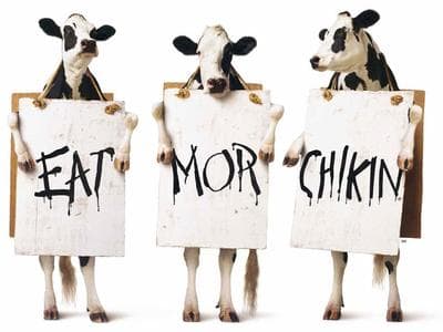 The Chik-fil-A &quot;Eat Mor Chikin&quot; ad campaign that the company says is in conflict with Mr. Muller-Moore's &quot;Eat More Kale&quot; campaign. (Chik-fil-A)