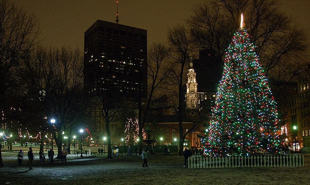The Boston Common Christmas tree in 2010 (Courtesy: Chris Devers/Flickr)