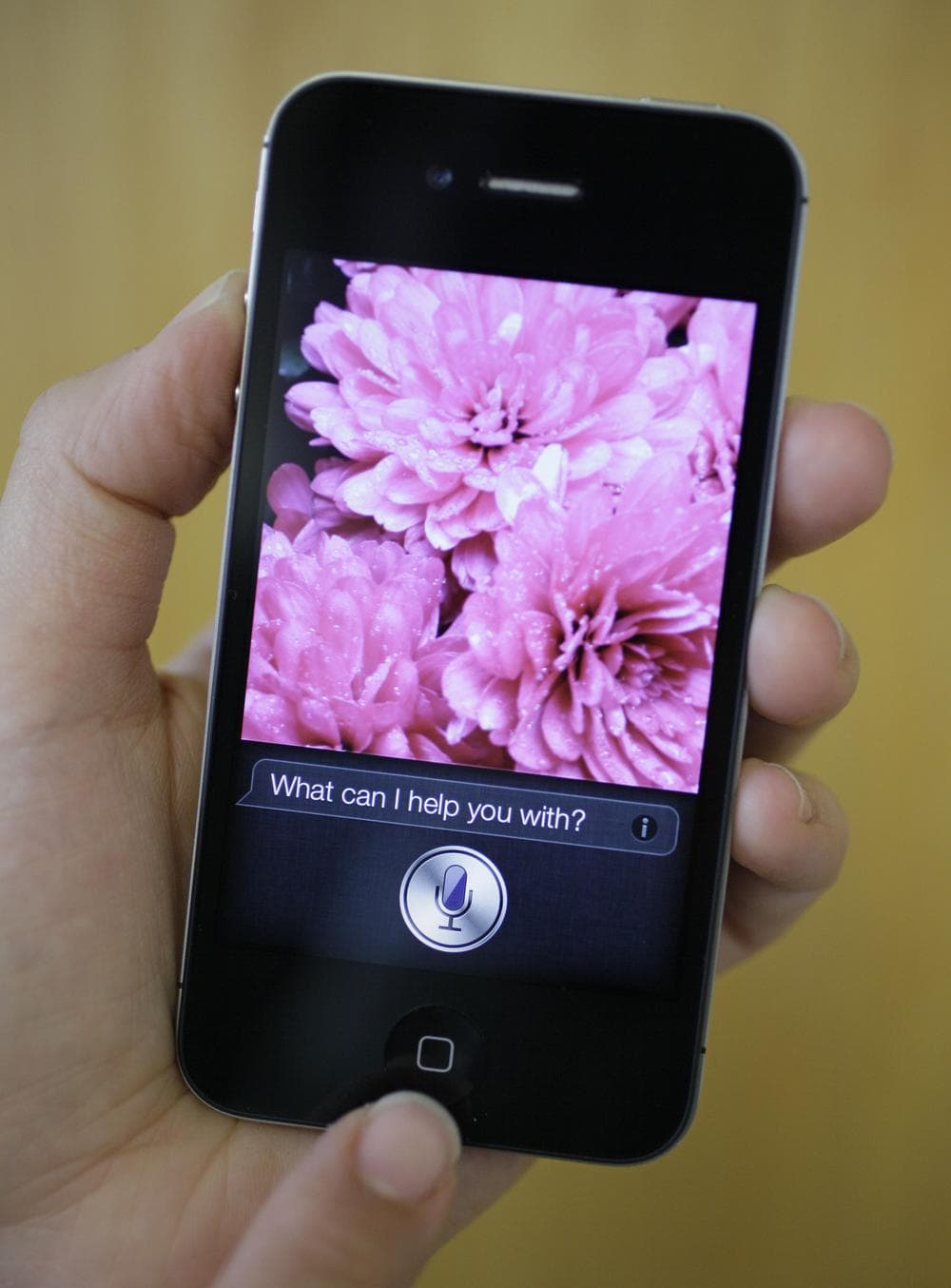 Siri, the new virtual assistant, on the new Apple iPhone 4S. (AP)