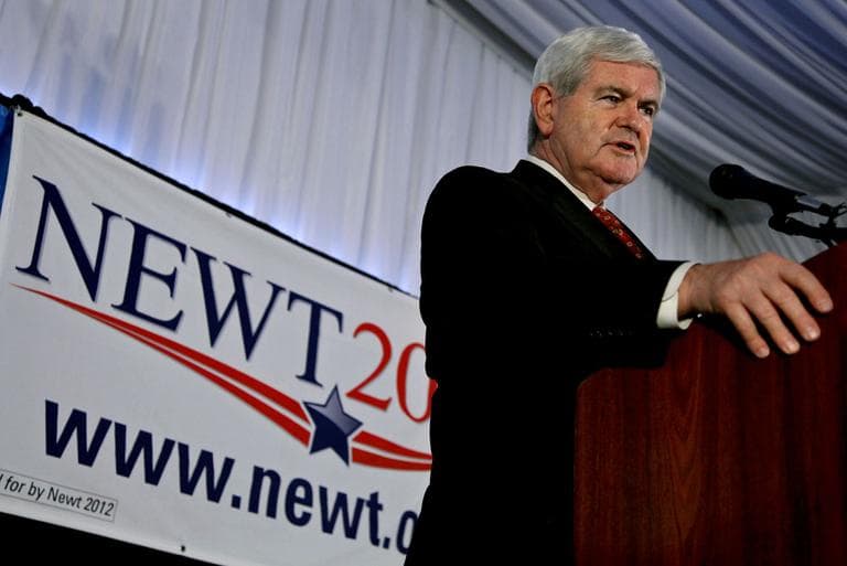 Republican presidential candidate and former House Speaker Newt Gingrich speaks at a town hall style event in the Staten Island borough of New York Saturday. (AP)