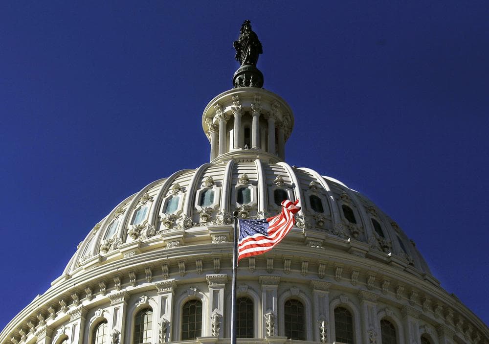 The U.S. Capitol building in Washington, D.C. (Pablo Martinez Monsivais/AP)