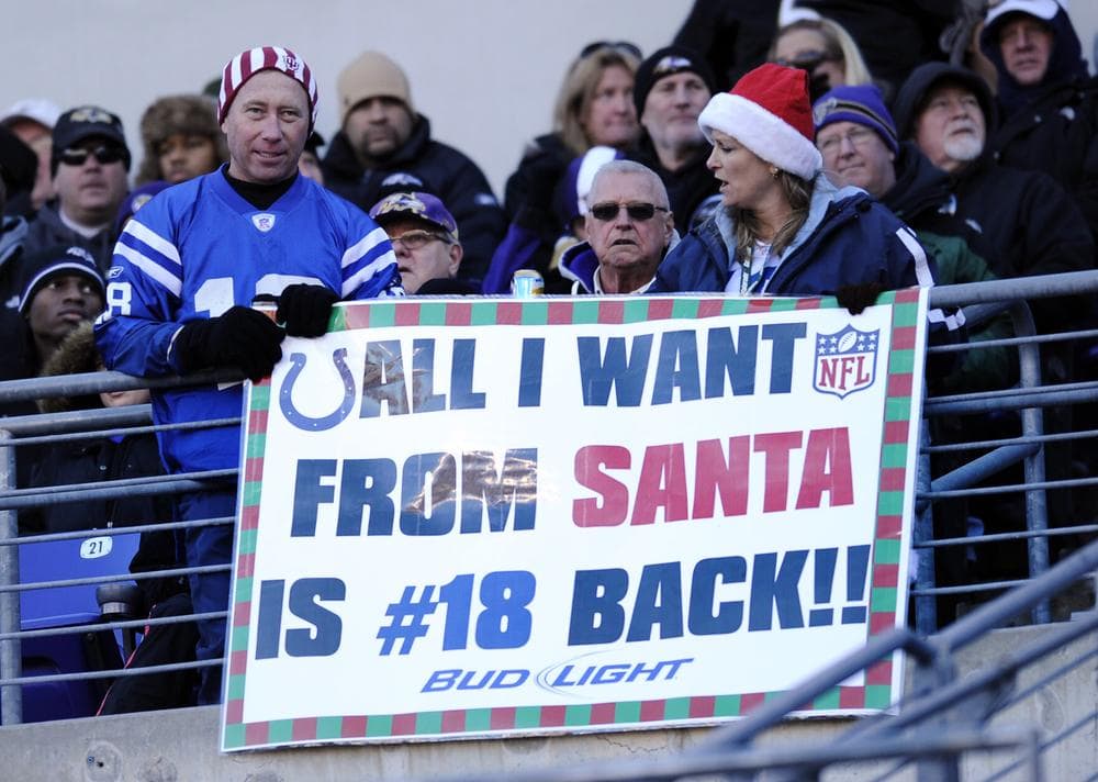 Indianapolis Colts fans display a sign asking for the return of injured quarterback Payton Manning in the second half of Sunday's game against the Baltimore Ravens. (AP)