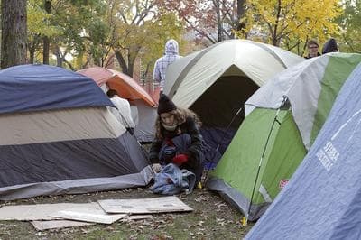Occupy Harvard Yard, on Nov. 10 (WBUR)