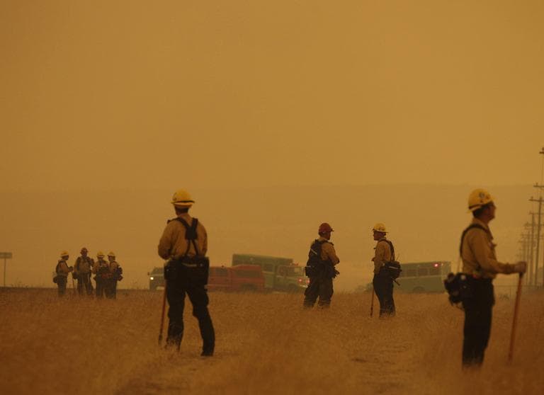 Firefighters make a stand along highway 260 as the Wallow Fire approaches outside of Eagar, Ariz., Wednesday, June 8, 2011. It was the largest wildfire in the state's history, buring more than 469,000 acres. (AP)