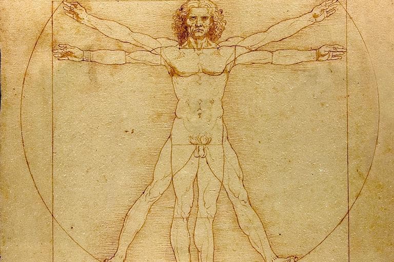 The Vitruvian Man drawing by Leonardo da Vinci circa 1487.