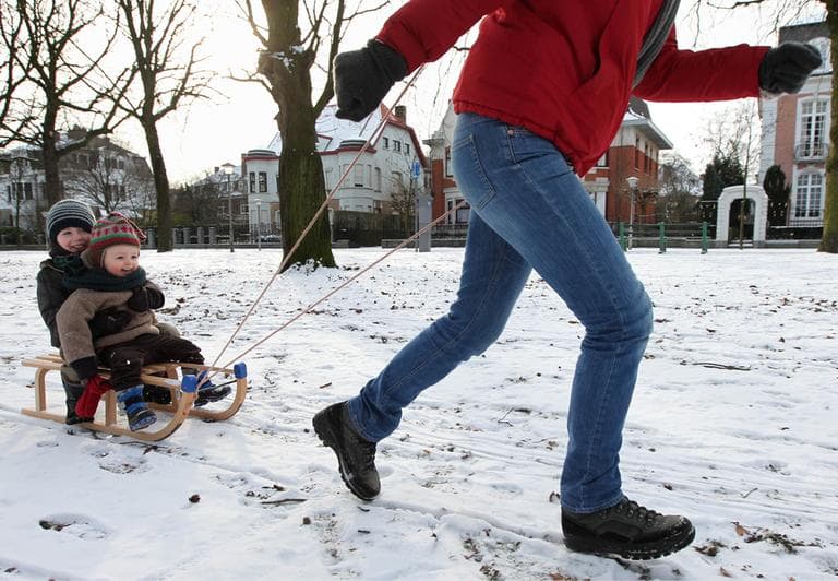 Two children are pulled on a sledge in a park, in Ghent, Belgium, Sunday Feb. 5, 2012.  (AP)