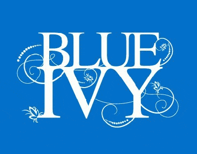 Boston's Blue Ivy Events shares the name of celebrity baby Blue Ivy Carter.