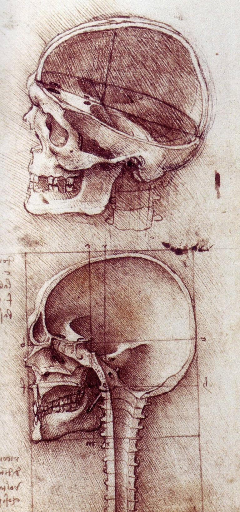 View of a Skull (da Vinci c. 1489)