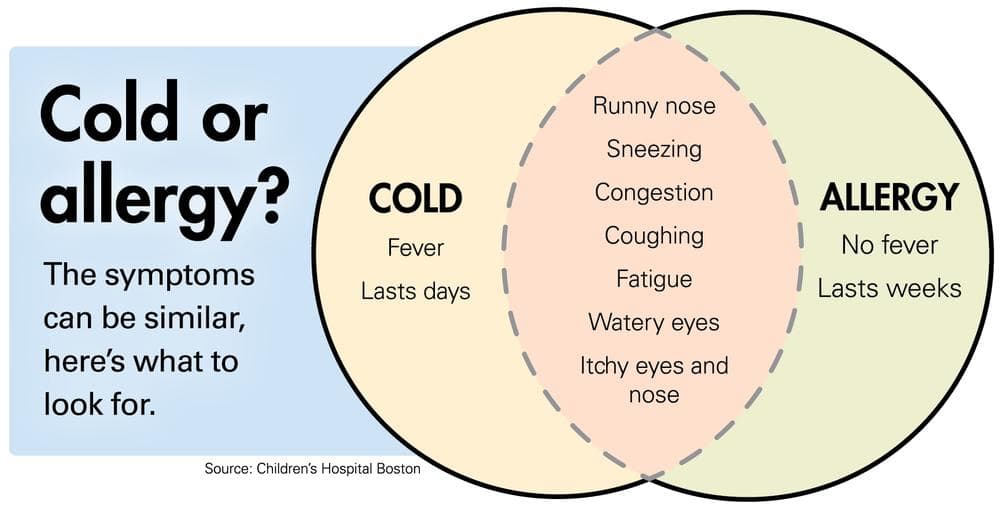 Cold or allergy? The symptoms can be similar, but colds include fever and last only for days. Allergies don't include fever and last for weeks.