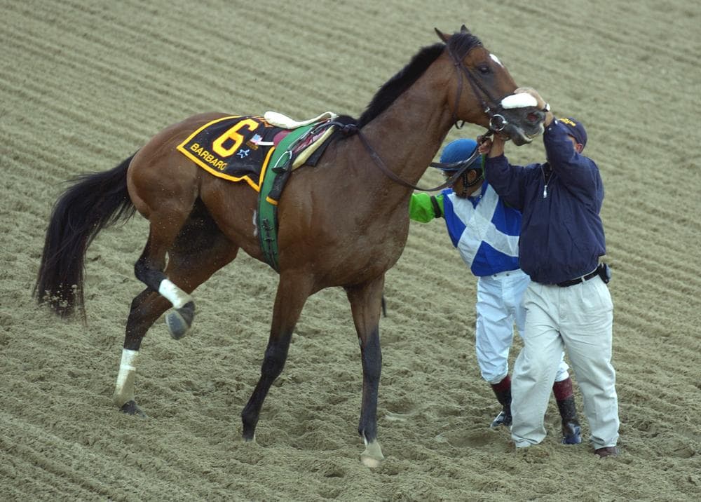 In this May 20, 2006 file photo, Barbaro is held by jockey Edgar Prado and a track worker after injuring his leg at the start of the 131st running of the Preakness Stakes. Barbaro was euthanized in 2007 after complications from his breakdown at the Preakness. (AP)