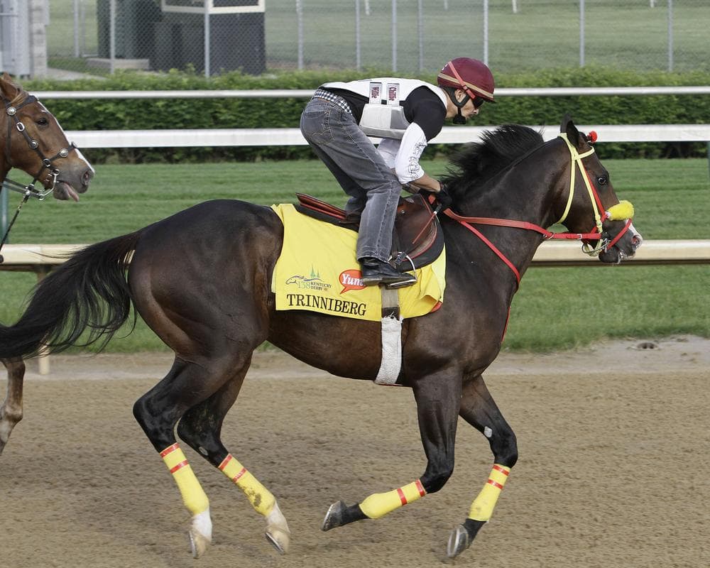 Kentucky Derby hopeful Trinniberg with exercise rider Sebastian Garcia aboard, gallops at Churchill Downs in Louisville, Ky., Monday, April 30. (AP)