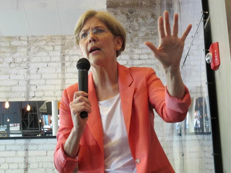 Elizabeth Warren speaking in Brookline on Thursday. (Nate Goldman/WBUR)