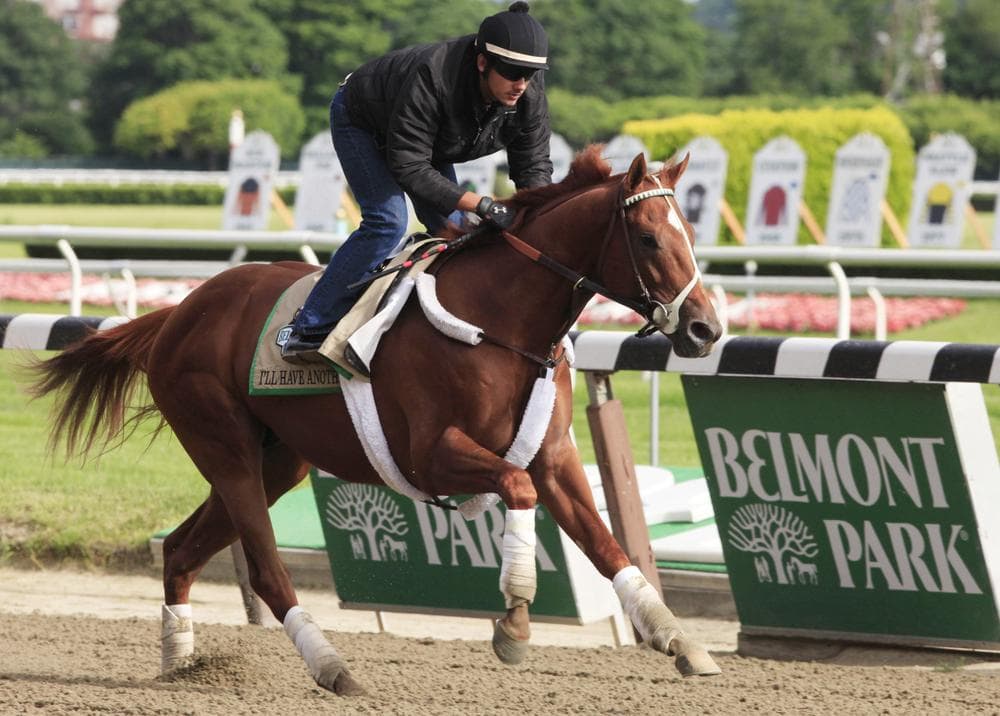 A leg injury forced I&#039;ll Have Another&#039;s trainers to retire him, ending his chances of winning a Triple Crown. (AP)