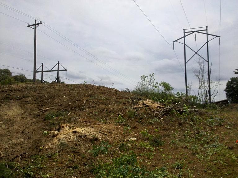 NSTAR&#039;s transmission lines in Wayland (Lynn Jolicoeur for WBUR)
