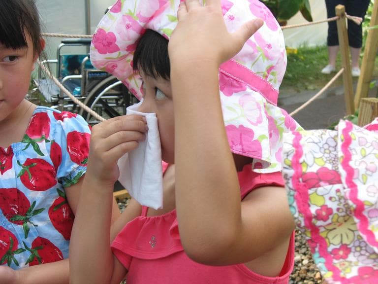 Six-year-old Ariel Hui covers her nose while visiting the corpse flower. (Sacha Pfeiffer/WBUR)