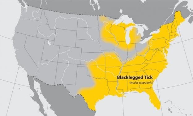 Approximate distribution of the Blacklegged tick, commonly referred to as the deer tick (CDC)