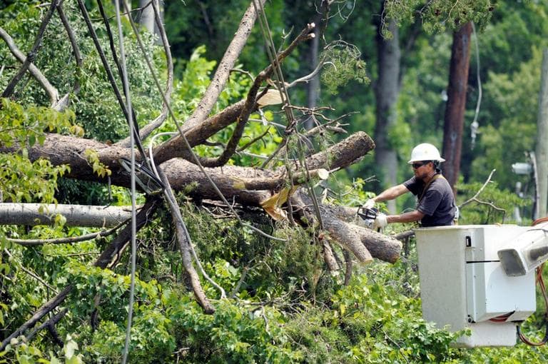 A utility worker clears a downed tree in Springfield, Va., Sunday, July 1, 2012. (AP)