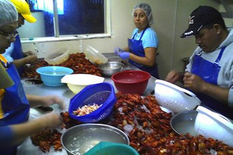 Guestworkers peeling crawfish at Walmart supplier C.J.'s Seafood, Breaux Bridge, Louisiana. (National Guestworker Alliance)