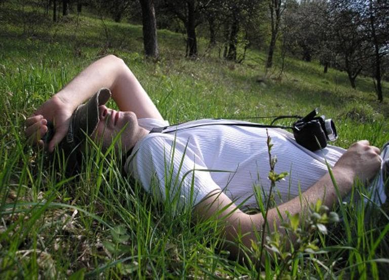 Man Relaxing in Grass. (Public Domain Photos/Flickr)