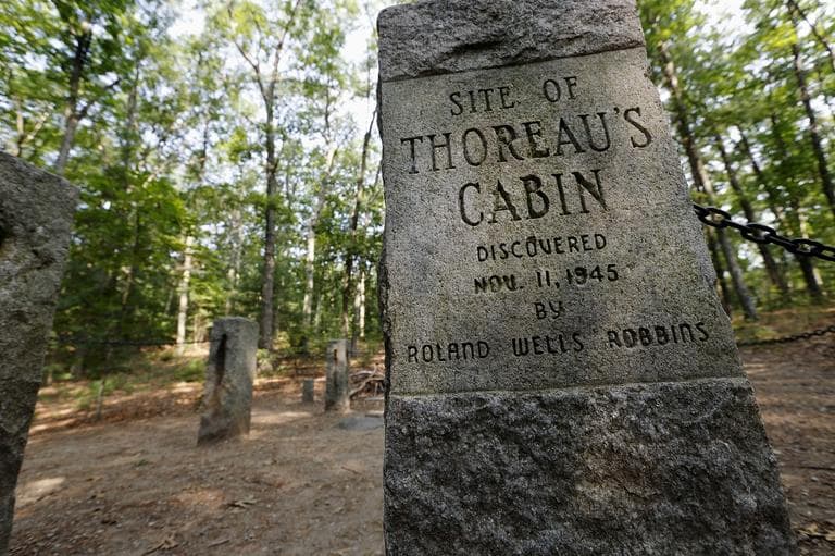 In this photo taken Friday, July 13, 2012, stone pillars delineate the actual site of Henry David Throeau's cabin on the shores of Walden Pond in Concord, Mass. (Michael Dwyer/AP)