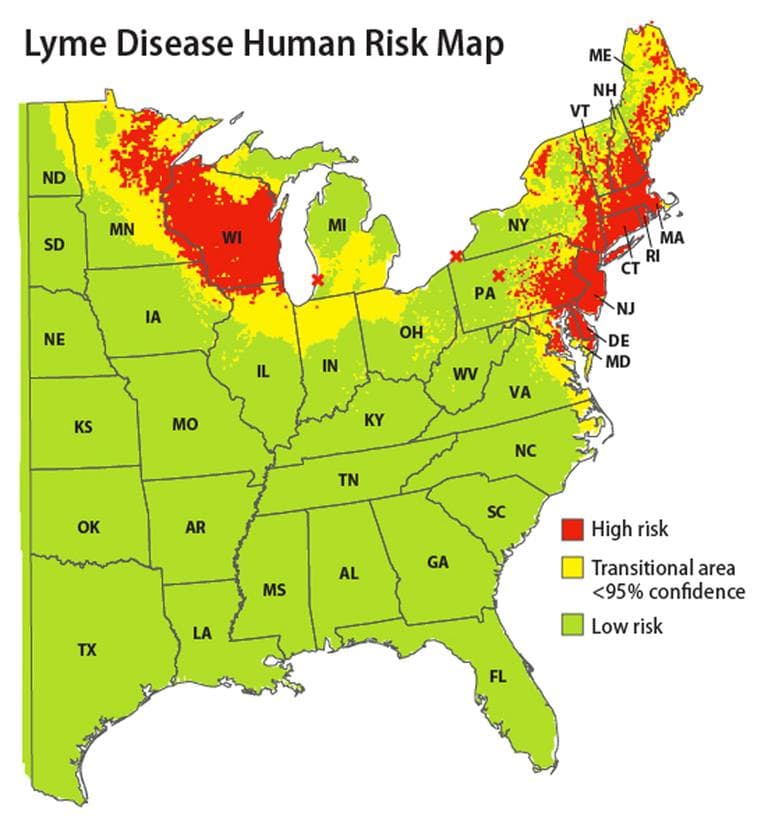 This map released by the Yale School of Public Health on Friday, Feb. 3, 2012 shows a map which indicates areas of the eastern United States where people have the highest risk of contracting Lyme disease based on data from 2004-2007. Researchers dragged sheets of fabric through the woods to snag ticks for the survey. The map shows a clear risk across much of the Northeast, from Maine to northern Virginia. Researchers at Yale University also identified a high-risk region across most of Wisconsin, northern Minnesota and a sliver of northern Illinois. Areas highlighted as &quot;emerging risk&quot; regions include the Illinois-Indiana border, the New York-Vermont border, southwestern Michigan and eastern North Dakota. (AP)