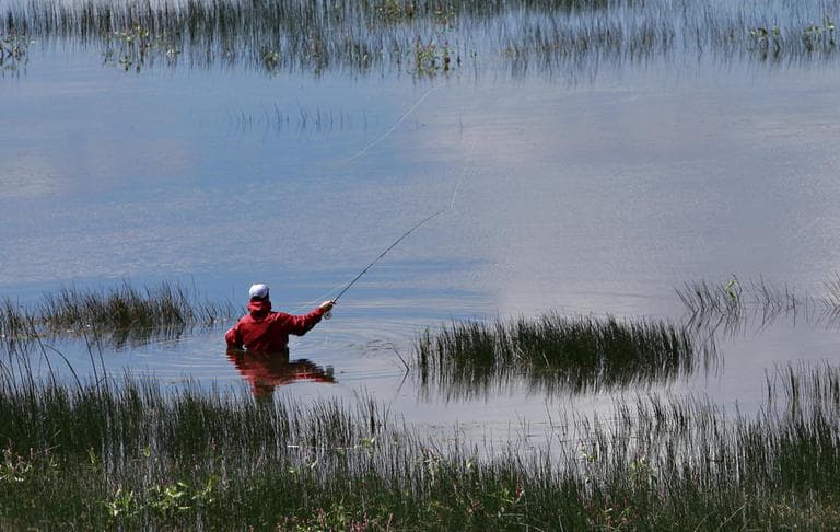Corey Slater fly fishes in Lower Lake Mary Tuesday, Aug. 3, 2010 near Flagstaff, Ariz. (AP)