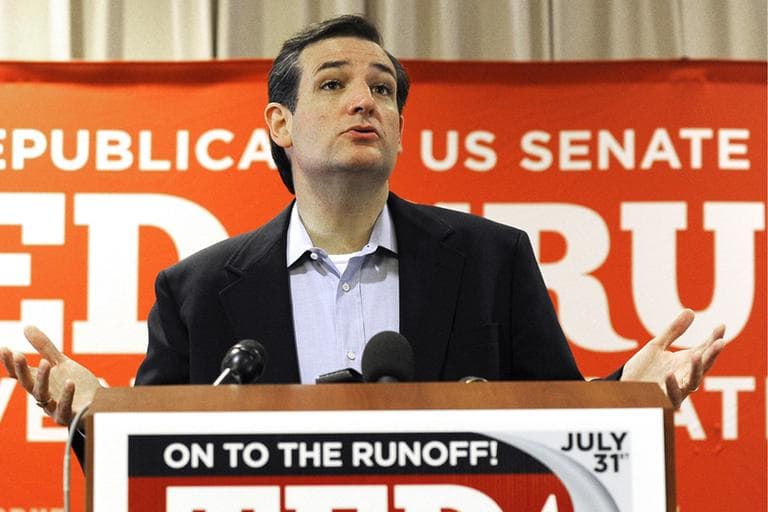 Texas Republican Senate candidate Ted Cruz speaks to the media Wednesday, Aug. 1, 2012, in Houston a day after trouncing Lt. Gov. David Dewhurst in a runoff. (AP)