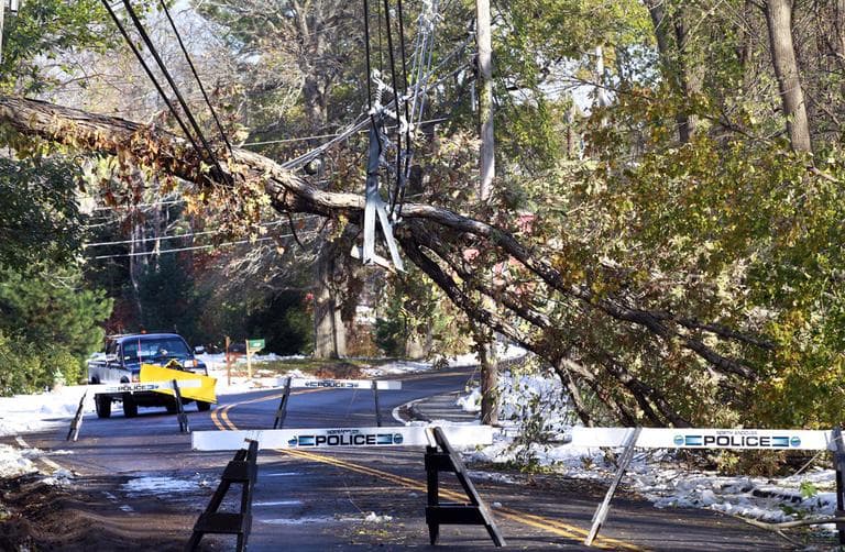 A fallen tree and downed power lines block a street in North Andover on Oct. 31, 2011, after a powerful fall snowstorm. (AP)