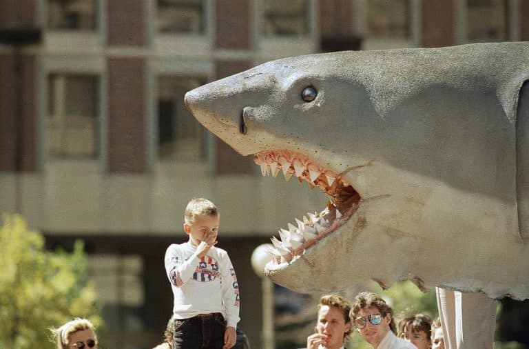 Jesse Bigham of North Quincy, MA., reacts when taking a close look at Bruce, the 2-ton, 25-foot shark from the movie "Jaws" on Sept. 15, 1988, while the shark was en route to the Museum of Science in Boston . (AP)