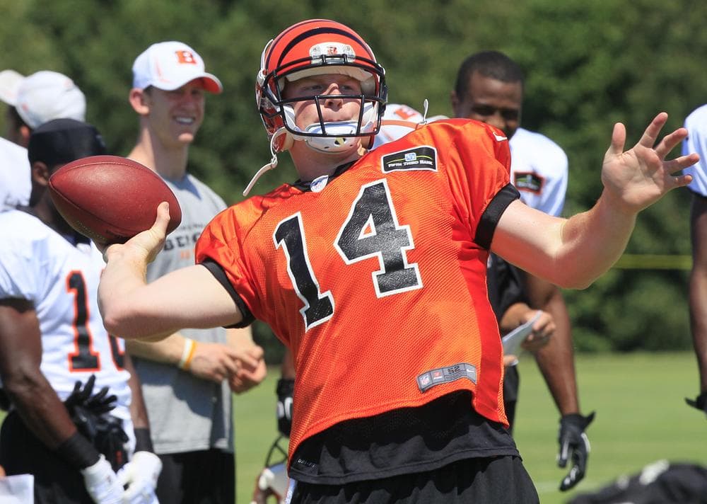 Not everyone cares how Bengals quarterback Andy Dalton is performing in training camp this year, but there are millions who do. (AP)