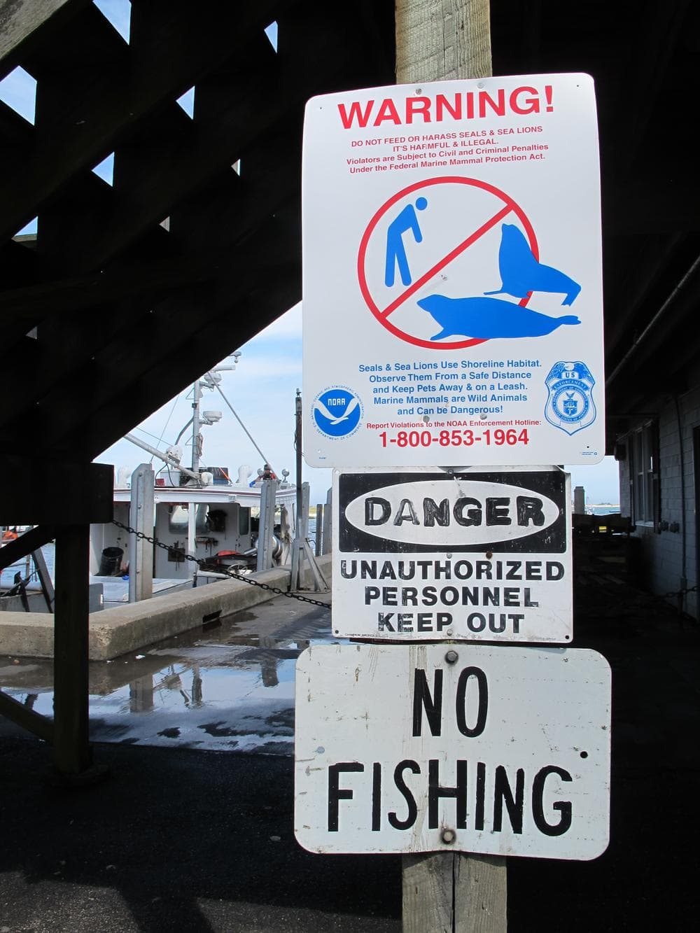 Signs at Chatham's fish pier warn tourists it's illegal to harass seals. (Curt Nickisch/WBUR)