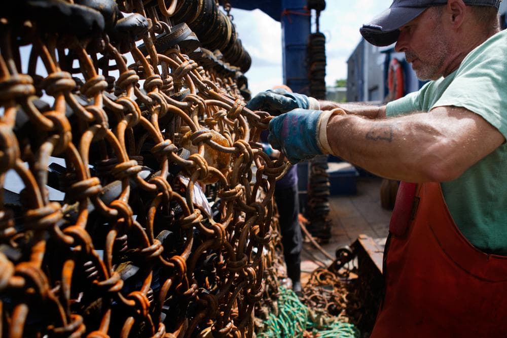 A crew member cleans the dredges after an eight-day voyage. (Jesse Costa/WBUR)